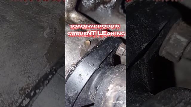 coolant leaking!