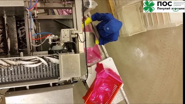 Дозатор рыбы для шоковой заморозки от компании ПОС смотреть онлайн