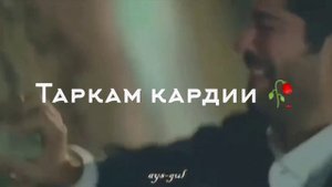 ин дилам барои ту хазон гардид in dilam baroi tu khazon gardid