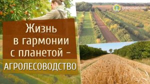 Жизнь в гармонии с Природой. Агролесоводство!