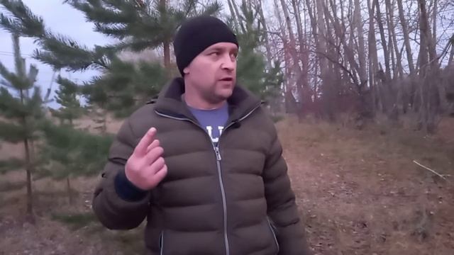 Совесть пассажира лучший контролёр. смотреть онлайн