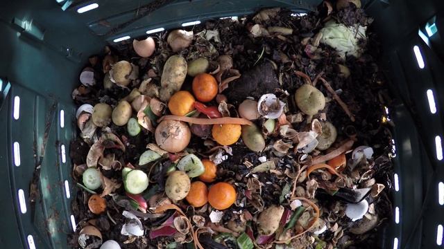 Timelapse in einen Komposter 9 h in 2 Minuten mit Besuch смотреть онлайн