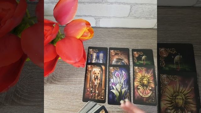 ‼ЧТО СЛУЧИТСЯ ?С МИНУТЫ НА МИНУТУ в ВАШЕЙ ЖИЗНИ...‼ТАРО ПРОГНОЗ НА СУДЬБУ ДЛЯ ВСЕХ‼