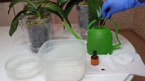 Для роста КОРНЕЙ и ЦВЕТОНОСОВ правильный ПОЛИВ орхидей ЙОДОМ || Йод для орхидеи