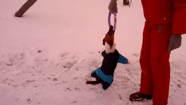 Рэйчел Вайс. 18.12.2013г. Вы