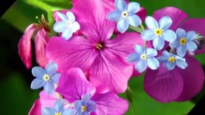 РУССКАЯ НАРОДНАЯ ПЕСНЯ — ВЫШЕЛ ПАРЕНЬ ПОГУЛЯТЬ