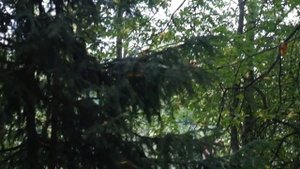 ЗАГОВОР ОБЕРЕГ ОТ ВРАГОВ. Отомстить врагам. Сильный заговор. Нужна помощь колдуньи 89153715505