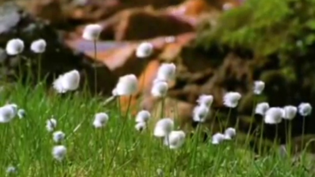 Совершенный Бог смотреть онлайн