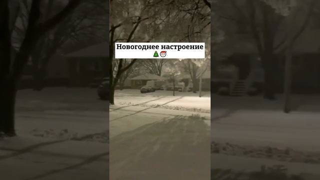 Новогоднее настроение #зима #новыйгод #вайб