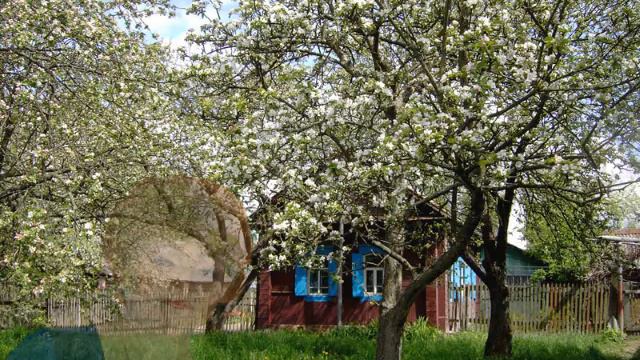 ДОМИК ОКНАМИ В САД смотреть онлайн