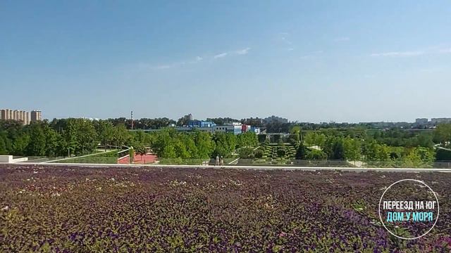Парк "Краснодар"/ Парк Галицкого 2022. Краснодар.