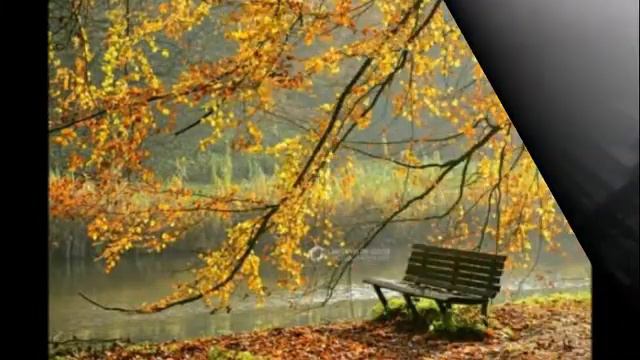 Галина Лойко. Осколки прошлого. смотреть онлайн