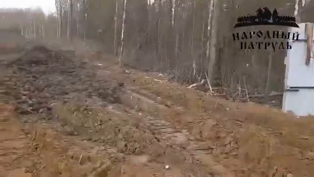 Эколайн сливает фильтрат со свалки в лес!