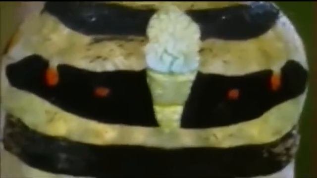 Metamorfosis. Метаморфоза.