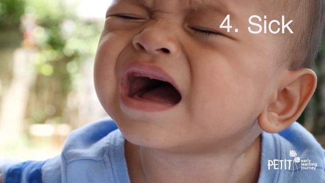 Baby Crying Sounds – What Do Different Cries Mean? | Petit ELJ | смотреть онлайн
