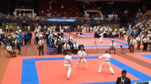 4-й Чемпионат мира по Годзю-Рю Каратэ-до,   Командное ката 1 место.mp4