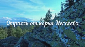 Отрасль от корня Иессеева