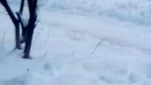 Бухой мужик упал смотреть онлайн