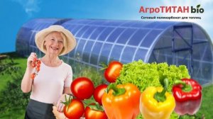 Поликарбонат Агротитан БИО