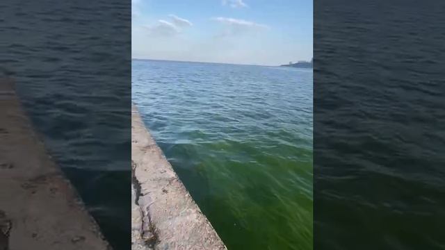 [ Альбом ]
Море в Одессе после разрушения Каховской ГЭС стало зелёным, сообщают очевидцы

Прямой эфи