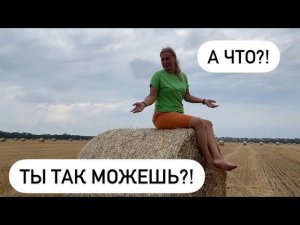 ЕДЕМ НА МОРЕ  ПОПАЛИ В ЦИРК   #сочи