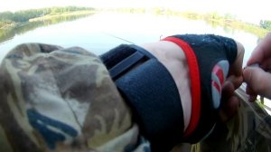 Щука на озере вблизи Искитима