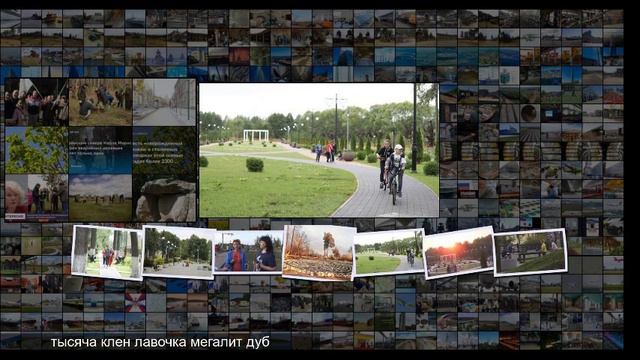 Парки Подмосковья Рошаль здесь будет город-сад