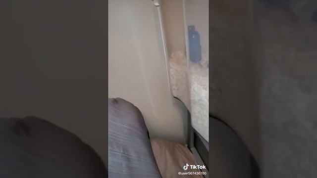 Hamster jumping off a bed.