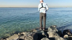 Рыбалка на Барракуду с берега на спиннинг в ОАЭ