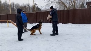 BALARIS KONDOR - 3 года 1 месяц, 7 тренинг