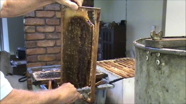 Beekeeping: Australian Manuka - Leptospermum Jellybush Honey. смотреть онлайн