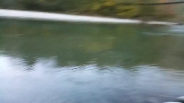 Заядлая Рыбалка с Пэтром Вольфрамычем / Пэтр Вольфрамыч смотреть онлайн