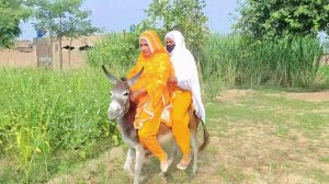 Punjabi women double donkey riding in village