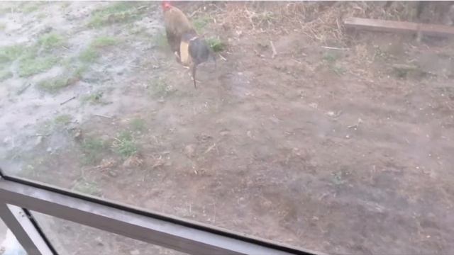 Строю теплицу и первая гроза