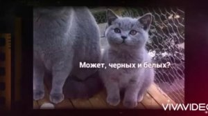 Анекдоты лучшие от Саши попробуй не засмеяться