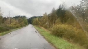 Решение принято! Выбираем новую корову!