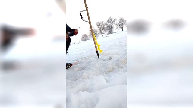 Ловля плотвы зимой на реке в феврале 2020 года смотреть онлайн