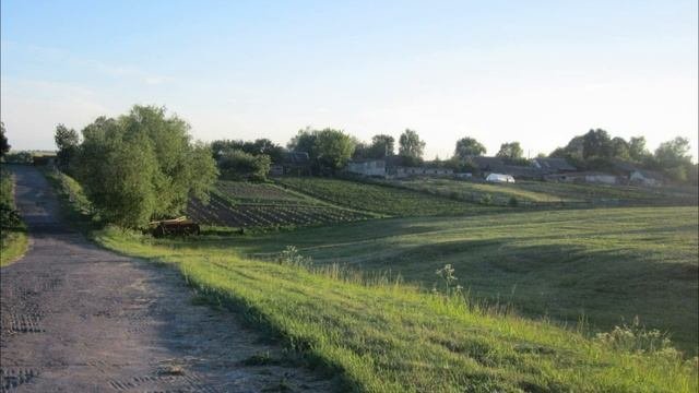 Заулье Сельхоз