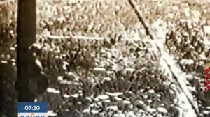 Петр Нестеров - первый в мире, кто совершил "мертвую петлю"