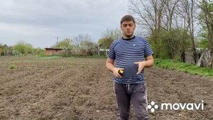 Посадка тыквы МАТИЛЬДЫ (НОВАЯ СХЕМА)?