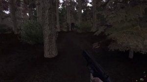 S T A L K E R   ветер времени+ганслингер, ловим мелкие вылеты и сразу правим.