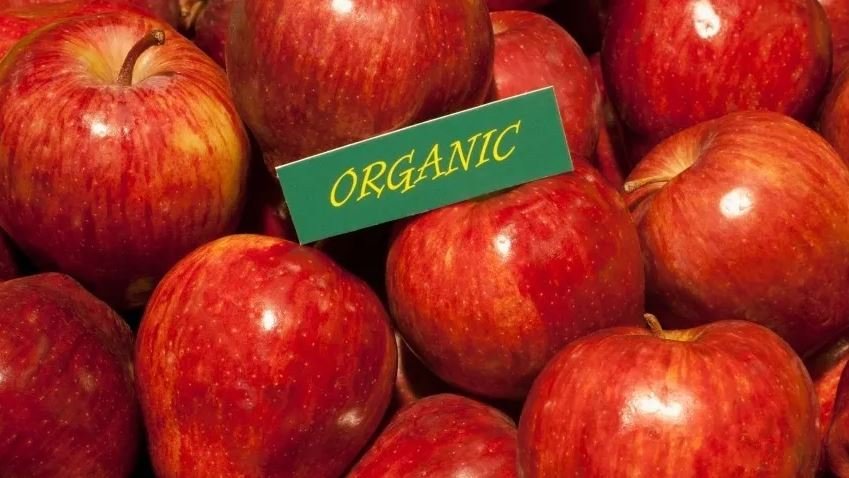 С полок российских магазинов исчезнут продукты с маркировкой «органик»