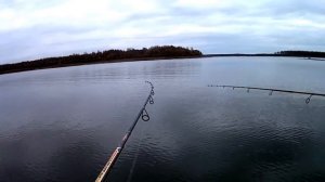 Рыбалка на спиннинг! Большие щуки. Мамки клеют чутли не через заброс!!