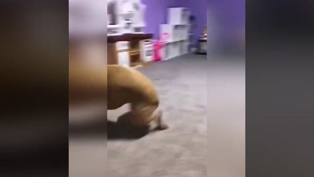 работа