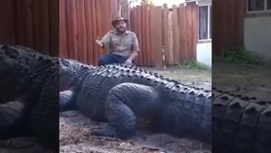 Самые большой кракадил в жизни ? и черные