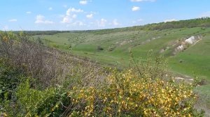 Белгородская область, Волоконовский район, у с.Погромец.