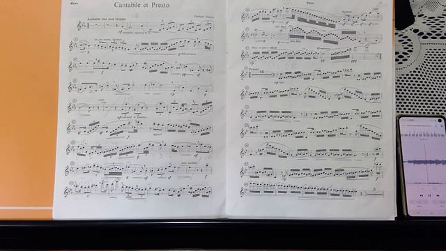G Enescu Cantabile practice 2 (played on Miyazawa 602) смотреть онлайн