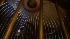 Реклама духов Chanel Coco