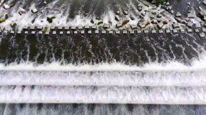 #Россия #СаратовскаяОбласть