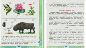 Красная книга. Окружающий мир. 2 класс, 1 часть. Учебник А. Плешаков стр. 88-91